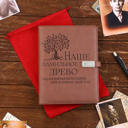 Родословная книга со встроенной флешкой 16 Gb «Наше фамильное дерево», 17.5×23 см.