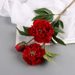 Цветы искусственные «Пион Беверли люкс», h=60 см, красные