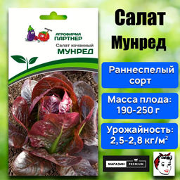 3155P Салат кочанный МУНРЕД 15шт