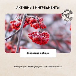 АНА-пилинг для лица Beauty сияние, 100 мл / Doctor Taiga / Natura Siberica  фото 4