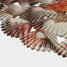 Решётка в раковину круглая Доляна «Ракушки», 28×28 см