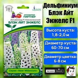 Дельфиниум Блэк Айт Энжелс - Партнер фото 2