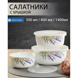ЛАВАНДА Набор салатников 3пр (20см,17см,14см) пласт.крышки DANIKS HDW3T-P (386639)  фото 9