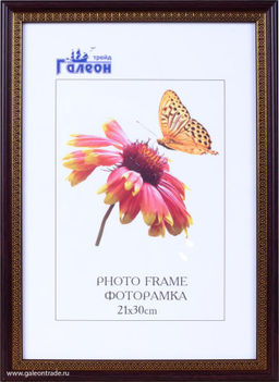 Фоторамка 21x30 / KS2015-4 /уп10 - ГалеонТрейд фото 2