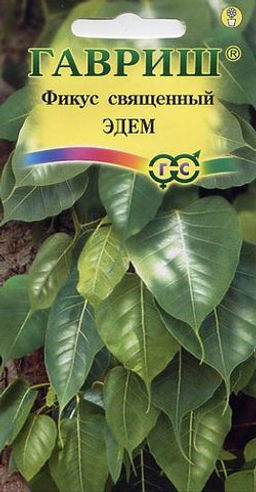 Фикус Эдем священный 0,03г (г)