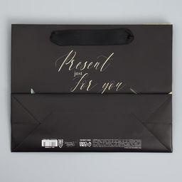 Цена за 2 шт. Пакет подарочный ламинированный, упаковка, «Present just for you», 22 х 17.5 х 8 см