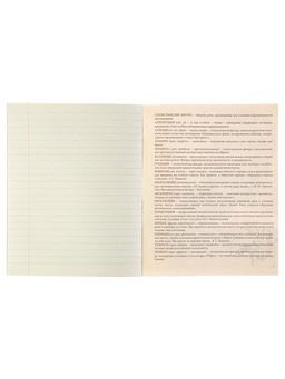 Цена за 15 шт. Тетрадь предметная, 48 листов линейку Calligrata, «Чёрное-белое. Литература», серые листы