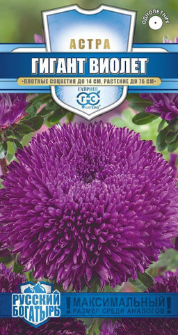 Гигант Виолет игольчато-коготковая астра 0,05гр (г)