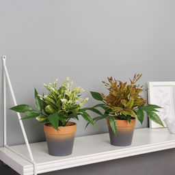 Искусственный цветок в горшке Птицемлечник, 8.5?18 см, МИКС