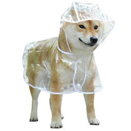 Дождевик для мелких пород собак "KOMFORT", прозрачный, р M
