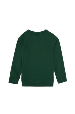 Erkek _ocuk Koyu Ye_il Basic Bisiklet Yaka Sweatshirt Sepette S_rpriz _ndirim - U.s. polo assn фото 2