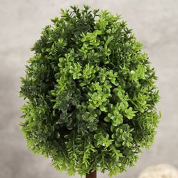 Цветочная композиция Зелень самшит 33 см / 9090-8 /уп 12/ - Галеонтрейд фото 5