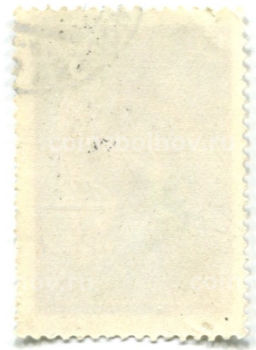 Марка Породы лошадей Ахалтекинская