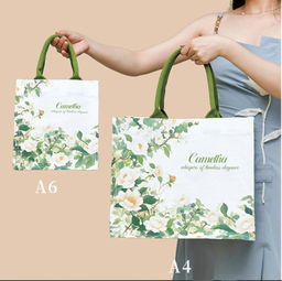 Сумка Rui-Mi-82-XS