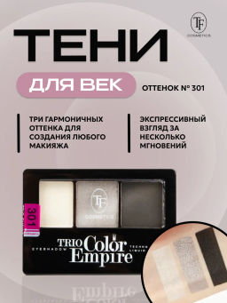 TF Тени для век Трехцветные компактные Trio Empire Color Eyeshadow тон301 cерый жемчуг