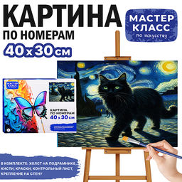 Картина по номерам MKR4030-26 "Чёрный кот" 30х40 см.