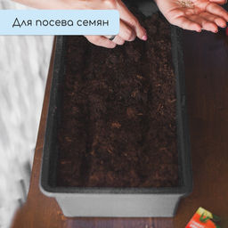 Цена за 3 шт. Ящик для рассады, 50×20×10 см, 6 л, пластик, цвет МИКС, «Урожай-3 м»