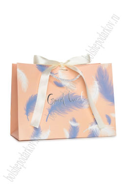 Пакет 18*23*10 см (12 шт) SF-7568, №11