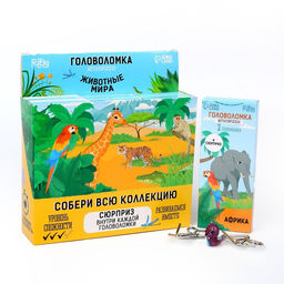 Головоломка металлическая «Животные мира», в шоубоксе
