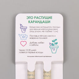 Набор для выращивания, карандаши подарочные «Ромашка + Лаванда», mini, простые чернографитные, 2 шт.