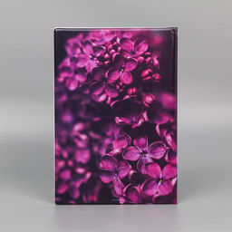 Папка для документов Docs, 8 файлов А4