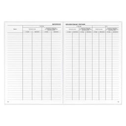 Классный журнал 10-11 класс арт. 5193