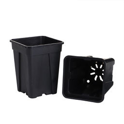 Цена за 20 шт. Горшок для рассады, 250 мл, 6.7×6.7×8 см, пластик, чёрный, Greengo