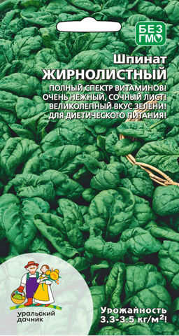 Шпинат ЖИРНОЛИСТНЫЙ  Богат белком, железом, калием, кальцием и витаминами!