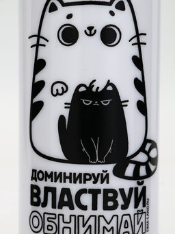 Бутылка для воды пластиковая Обнимай и властвуй, 700 мл