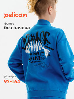 PELICAN, толстовка для мальчиков, Лазурный