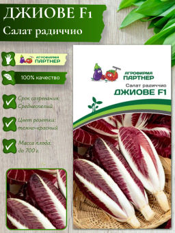 3162P Салат радиччио ДЖИОВЕ F1 15шт