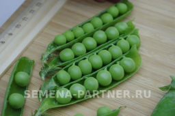 Горох овощной Премиум - Партнер фото 6