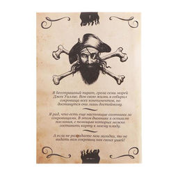 Цена за 2 шт. Книга-квест Записки пирата, 22 страницы, 14+ - Буква-ленд фото 3