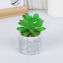 Цветочная композиция Кактус / WER-22 /уп 12/192/ микс - Галеонтрейд фото 12