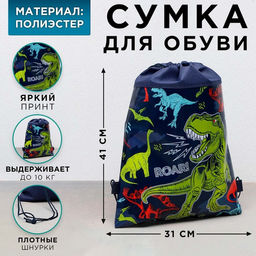 Сумка для обуви Дино, полиэстер, размер 41см х 31см х 0,5см