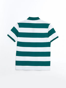 Polo Yaka K?sa Kollu ?izgili Pike Erkek Ti??rt