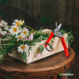 Ножницы садовые, 7 (18 см), с металлическими ручками, обрезиненная ручка, красные, Greengo фото 11