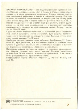 Открытка Патиссоны.Кабачки