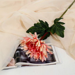 Цветы искусственные «Астра пионовидная», 17×63 см, оранжевые