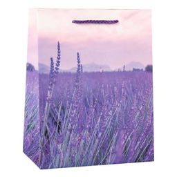 Цена за 12 шт. Пакет подарочный 18x23x10см Лаванда / 3205M /уп 12/720/ - Галеонтрейд фото 2
