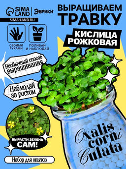 Набор для опытов Выращиваем травку, своими руками, голубой