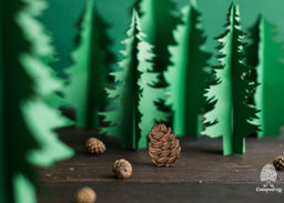 Деревянная брошь Шишка - Сибирский кедр фото 4