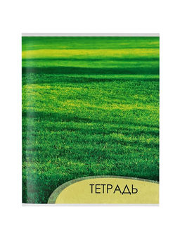 Цена за 4 шт. Тетрадь 96 листов в клетку, Calligrata «Текстура 2», МИКС