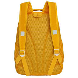 RG-563-3 Рюкзак школьный - Grizzly фото 15