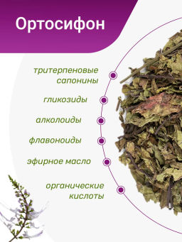 Ортосифон (почечный) - Травы горного крыма фото 3