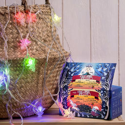 Гирлянда Нить 5 м с насадками Ёлка в крапинку, IP20, прозрачная нить, 20 LED, свечение мульти (RG/RB), мигание, 220 В - Luazon lighting фото 8