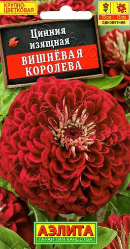Цинния Вишневая королева 0,3г (Аэлита)