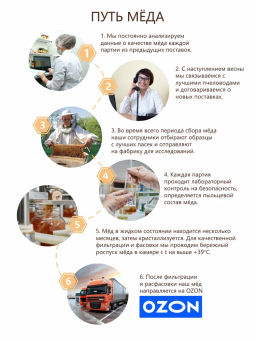 Конфеты Shoco Rolls с фундуком, цукатами моркови и медом 135г - Берестов А.с. фото 6