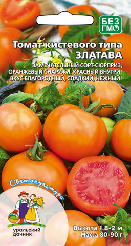 Томат ЗЛАТАВА  Замечательный сорт-сюрприз! Вкус благородный, сладкий и нежный!