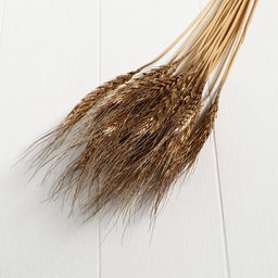 Сухой колос пшеницы, набор 30 шт., цвет золотой - Simaland фото 5